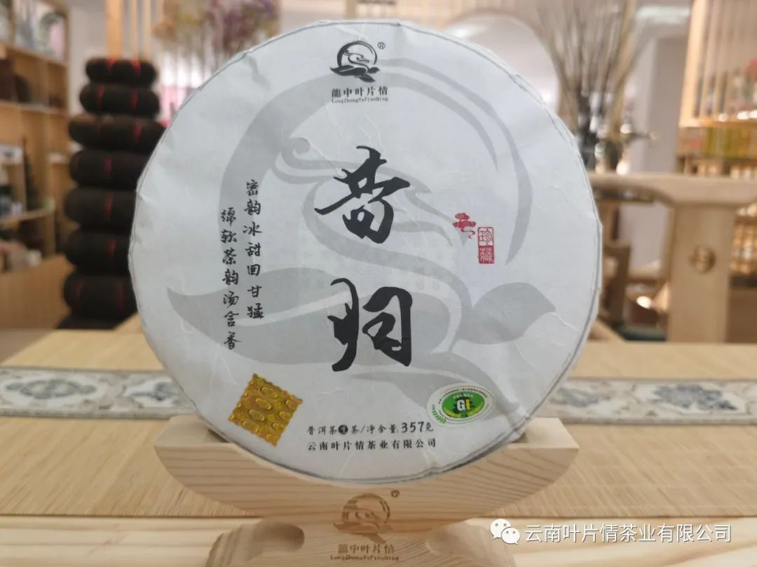 昔歸普洱茶